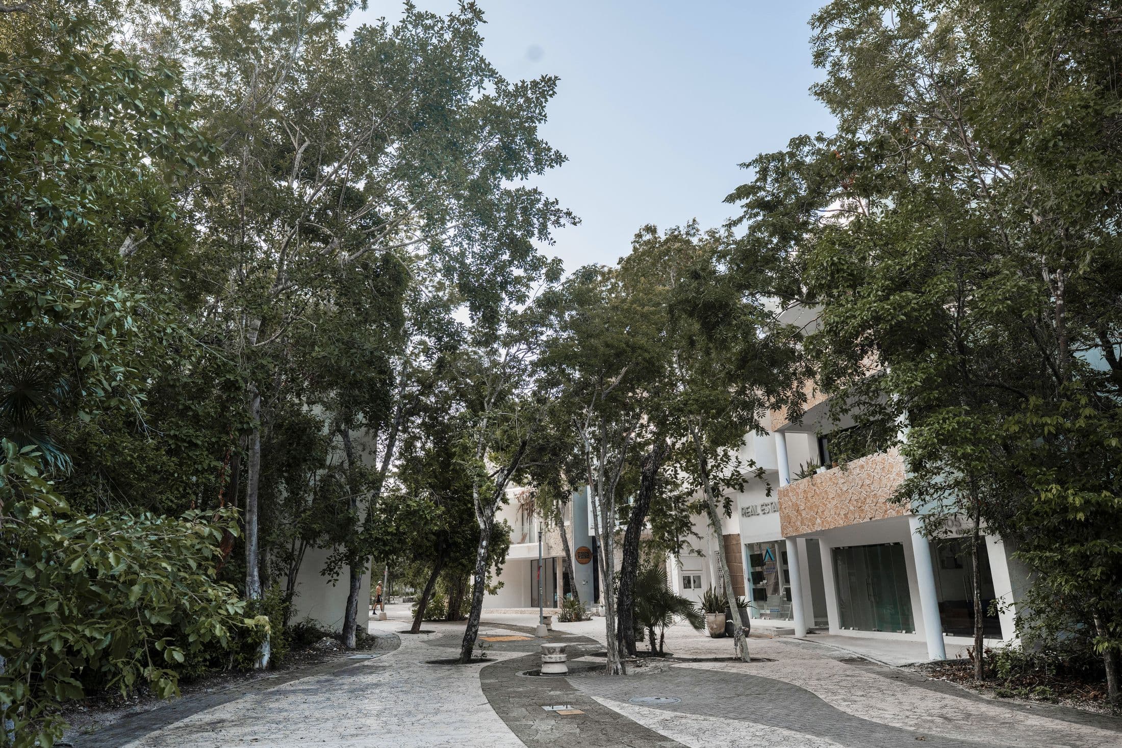Calle arbolada en Aldea Zamá